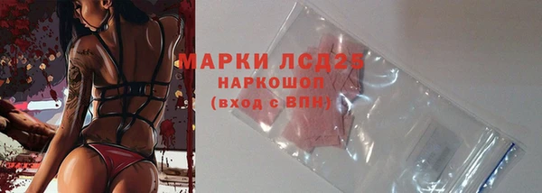 apvp Бородино