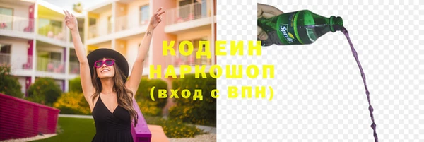 apvp Бородино