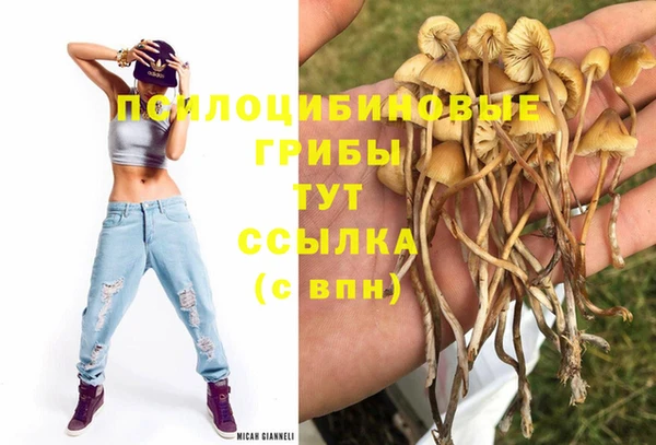 ALPHA-PVP Верхнеуральск