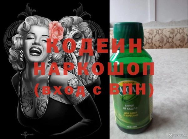 apvp Бородино