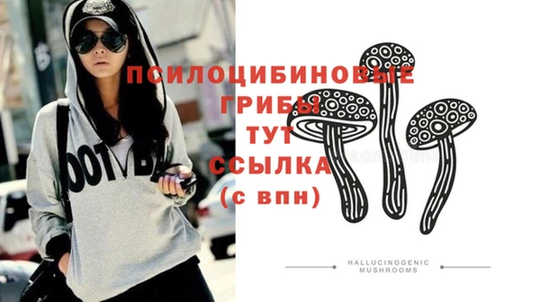мескалин Верхний Тагил