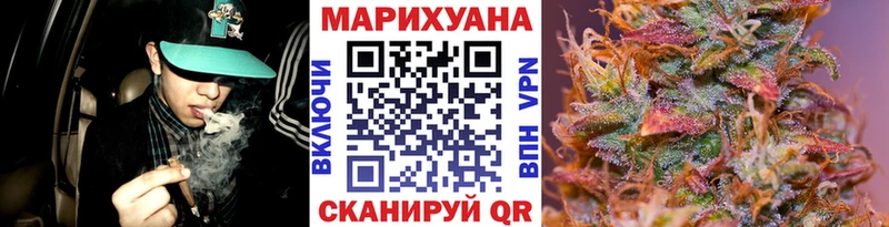 купить  цена  Изобильный  Канабис сатива 